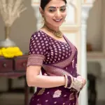  Jacquard Gold Zari Woven Litchi Silk Traditional Soft Banarasi Saree