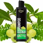 QUAT BhringAmla Shampoo for dry & frizzy hair with Bhring & Amla  (250 ml)