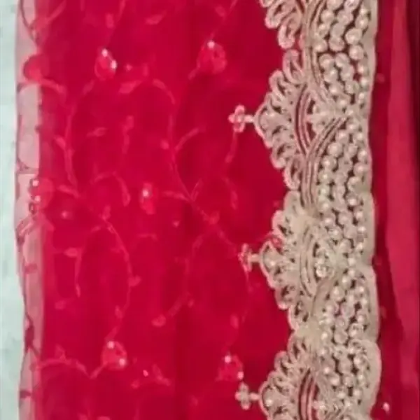 Begumpuri Net Red Beads & Stones Saree