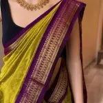  Clirva Beautiful Silk Saree