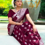  Latest Designer Banarasi Silk Sraee