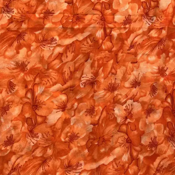  Georgette Printed Saree (With Lace)