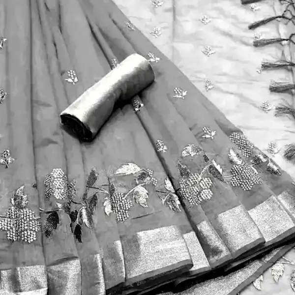 Women's New Fancy Embroidery Saree