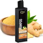 QUAT Ginger Anti-Dandruff Shampoo for the Flake-Less Clear Scalp.  (250 ml)