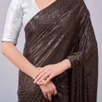 Women's Stone Work Saree