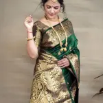 NEW TRADITIONAL SAREE