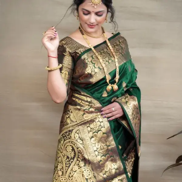 NEW TRADITIONAL SAREE