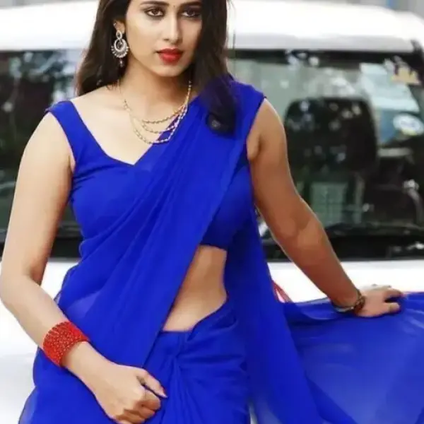 Timeless Charm Georgette Dyed Daily wear