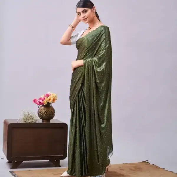 Women's Stone Work Saree