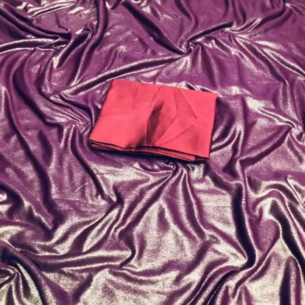 Women's Saree With Blouse