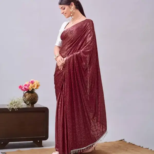 Women's Stone Work Saree