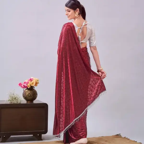 Women's Stone Work Saree