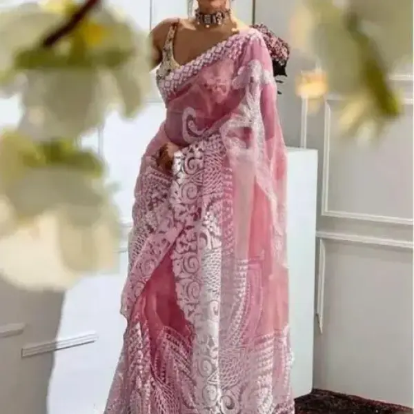 Embroidery Work Net Saree