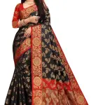 Women's Saree