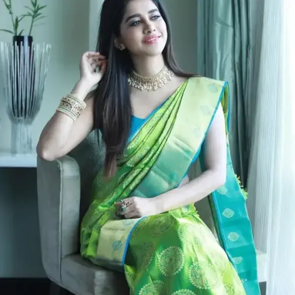 Nabha Natesh Celebrity Special Silk Saree