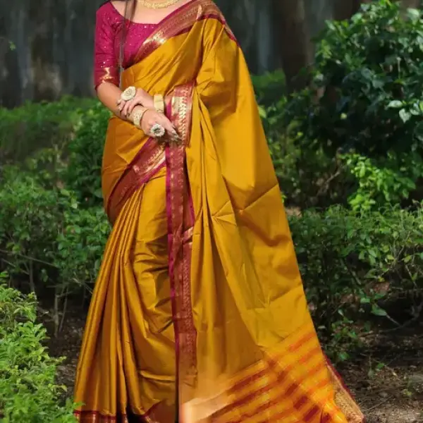  Designer Saree
