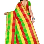  Classy Women Saree
