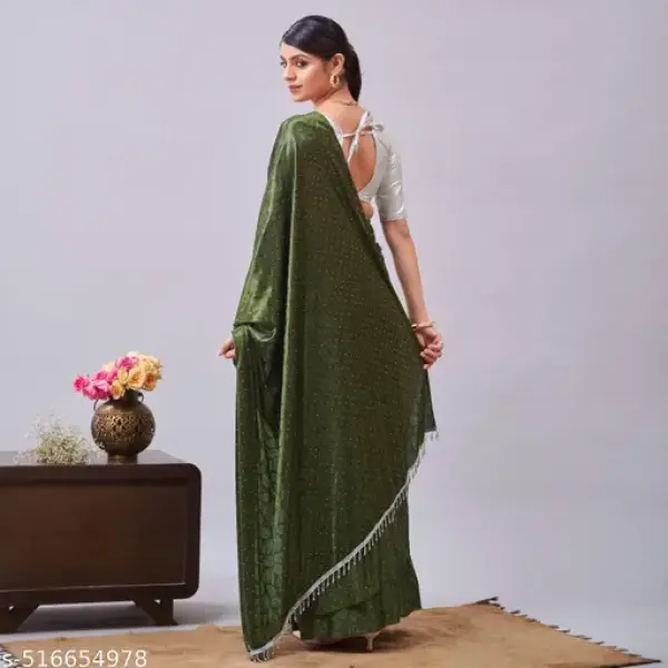 Women's Stone Work Saree