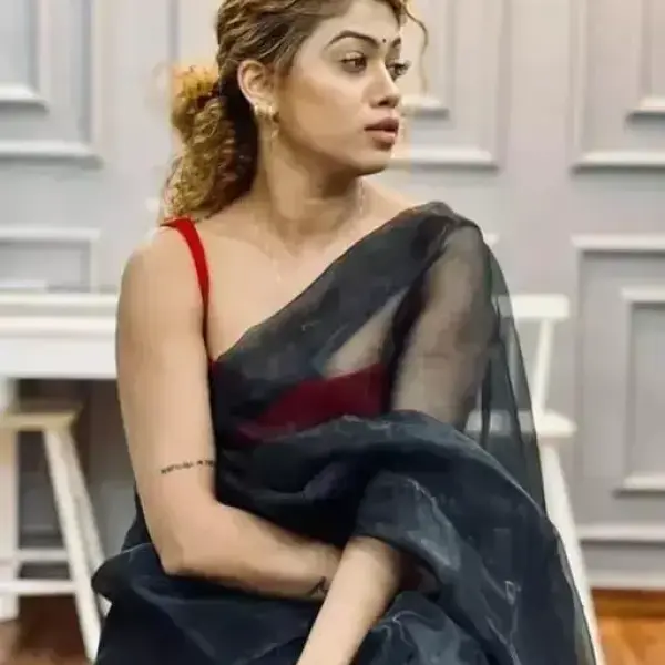 Plen net saree