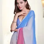 Ashani Voguish Chiffon Saree