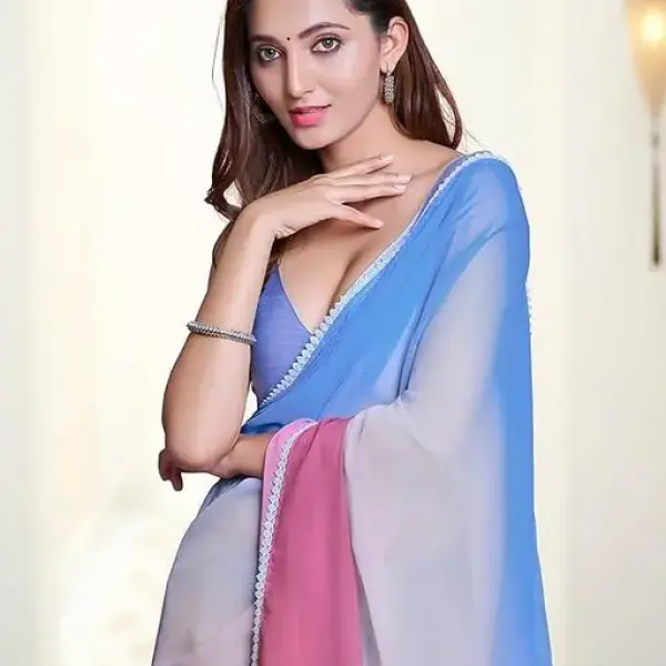 Ashani Voguish Chiffon Saree