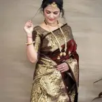 Desultory Soft Silk Saree