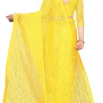  Net saree