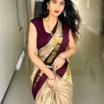Hathi Design Silk Saree