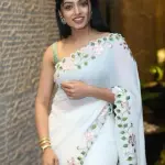 Fancy saree