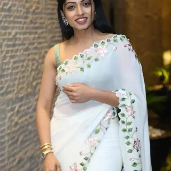 Fancy saree