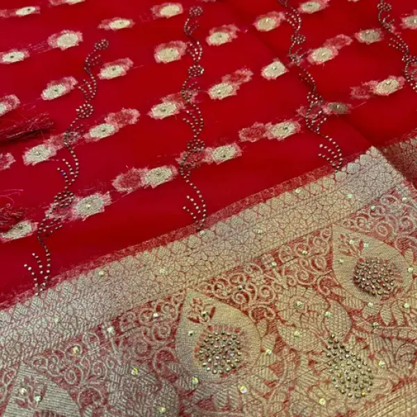 Organza Stone Work Saree