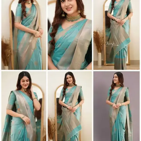  Saree for women for wedding/party
