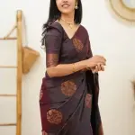 Designer Beautiful Banarasi Saree