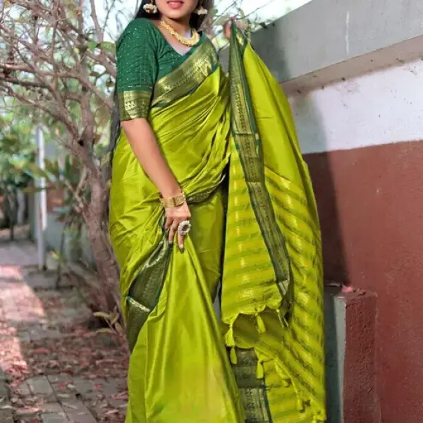  Designer Saree