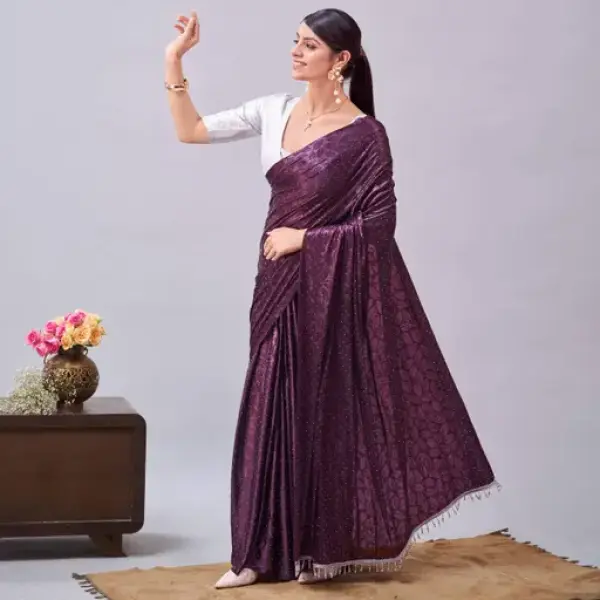 Women's Stone Work Saree