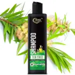 QUAT "Tea Tree Therapy: Purifying Shampoo for a Healthy and Hydrated Scalp"  (250 ml)