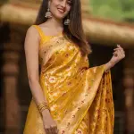 Woven Banarasi Jacquard, Art Silk Saree