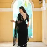Zeekha dimond stone work hot fixing georgette saree