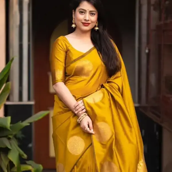 Fancy Exclusive Banarasi Silk Saree