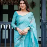 Traditional Stylish Partywear Saree