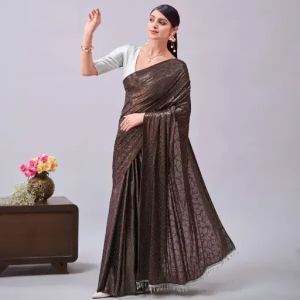 Women's Stone Work Saree