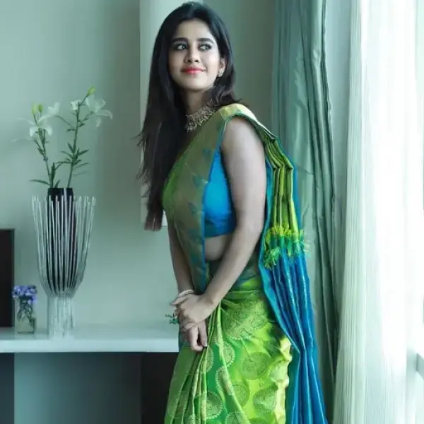 Nabha Natesh Celebrity Special Silk Saree