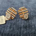 A Unique Dimond Earrings