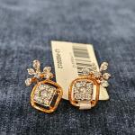 A Unique Dimond Earrings