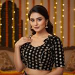 Premium Morden Blouse