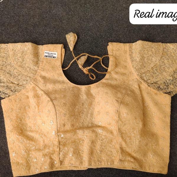 Premium Morden Blouse