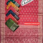 Women's Geernaree Chockleti  Saree