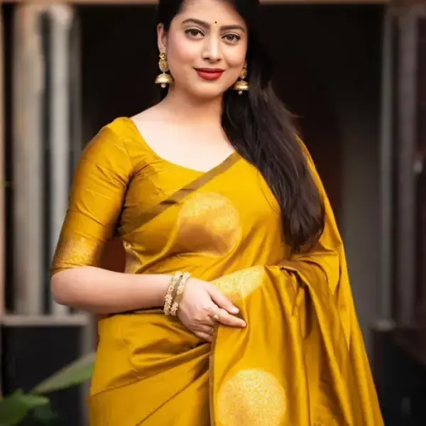  Marvellous Soft Banarasi Silk Saree