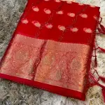 Organza Stone Work Saree