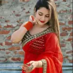 Women's FANCY MIRROR Saree